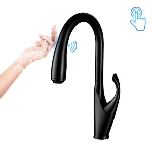 robinet évier cuisine noir