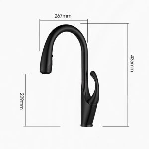 robinet flexible douchette cuisine