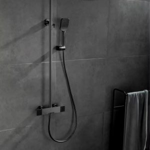 douche Robinet Expert en gris brossé