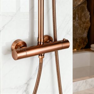 douche thermostatique moderne