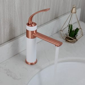 robinet bicolore moderne