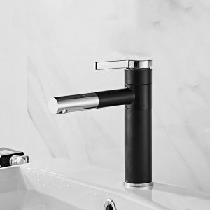robinet lavabo bicolore