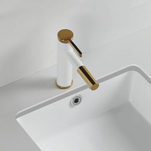 robinet lavabo bicolore