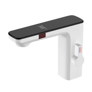 affichage thermostatique numérique
