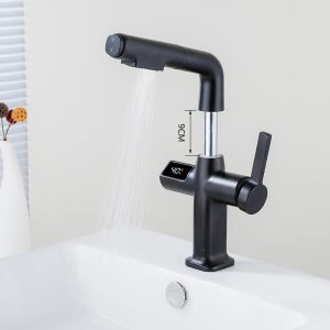 robinet affichage thermostatique