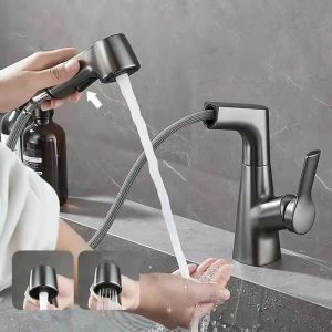 robinet flexible douchette