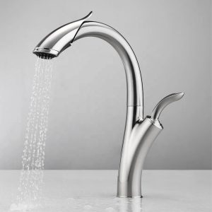 robinet flexible cuisine