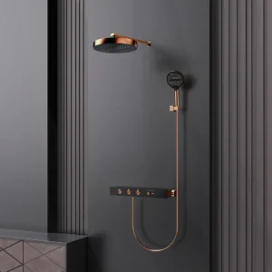 ensemble de douche thermostatique Robinet Expert